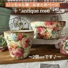 ❤︎いっちゃん様❤︎リクエスト&１点同梱
