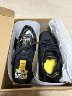 Item thumbnail for item 84e63a2a-f872-4487-8708-7464248f5cd2