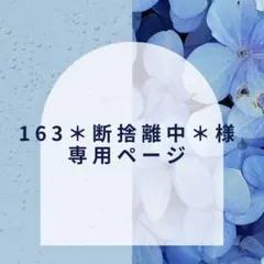 【163＊断捨離中＊様】専用ページ