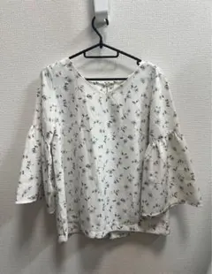 Item thumbnail for item 35fd382f-3f10-4ac4-a279-4ec2ddddf244