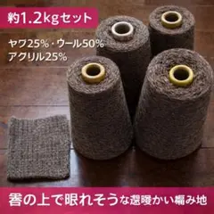 Item thumbnail for item 0d559805-e4c6-4250-9f87-77cbda10da5e