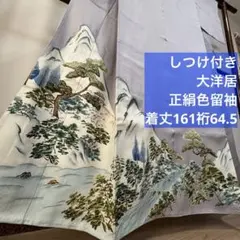 Item thumbnail for item 79af6469-dcc3-478c-8929-7800870efc16