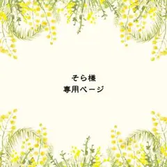 そら様 リクエスト 2点 まとめ商品