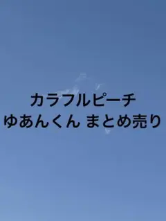 あゆみ様専用ページ