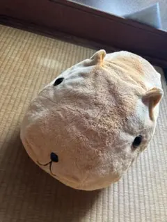 カピバラさん スーパーDX なまけものくんとのすのすぬいぐるみ