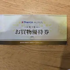 YAMADA HLDGS. お買物優待券 10枚セット