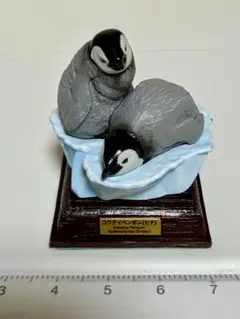【処分価格】ネイチャーテクニカラー・南極「コウテイペンギン（ヒナ）」