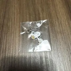 PEANUTS シークレットメタルチャーム スヌーピー キーホルダー　マーブルス