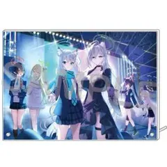 フカヒレ様 リクエスト 2点 まとめ商品