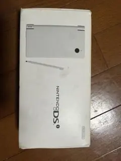 任天堂 Nintendo DSi ホワイト 本体 箱付き