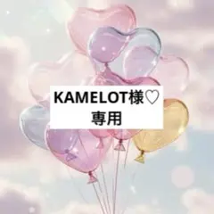 KAMELOT様 リクエスト 2点 まとめ商品