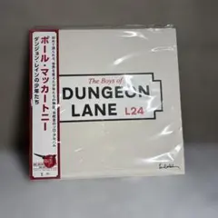 e*o様 限定版 ポールマッカートニー ダンジョンレイン ピンクレコード