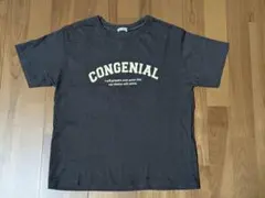最終値下げ☆HoneysハニーズC.O.L.Z.A 半袖Tシャツダークグレー S