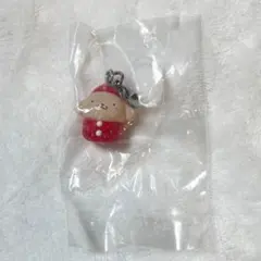 匿名配送 サンリオ いちごめじるしアクセサリー ポムポムプリン