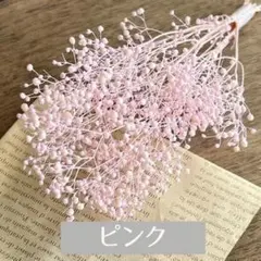 세일 프리저브드 플라워 핑크 어스 팜 소프트 미니 깁소필라