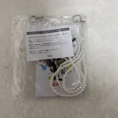 PALオリジナル パルクロすっきゃねんず ストラップ付マルチケース