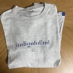 indigo la end ミュージシャン