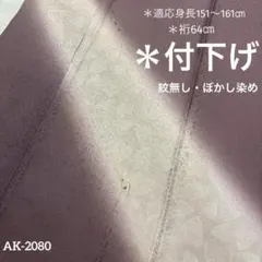 AK2080 作家物 刺繍 付下げ 紋無し ぼかし染め 正絹 広衿 袷 着物