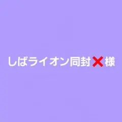 ‼️しばライオン同封❌様専用‼️