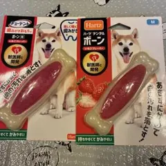 Item thumbnail for item 35252e52-8f19-4e5b-9389-401f661a2424