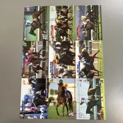 競馬トレーディングカード13枚セット　スペシャルウィーク フサイチコンコルドなど