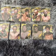 RIZINウエハースカード10枚セット