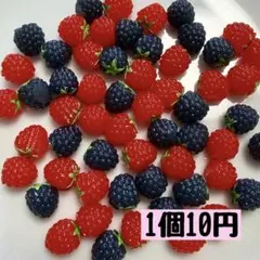 ラズベリー　ブラックベリー　ミニチュア