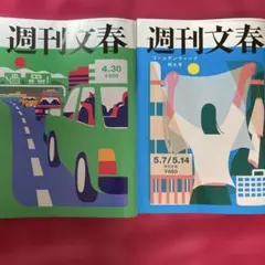 はるかすみさま専用