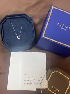 SIENA ROSE 11粒ダイアモンドの馬蹄ネックレスのサムネイル