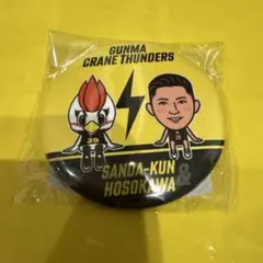 2025年最新】細川一輝の人気アイテム - メルカリ