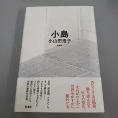 小島