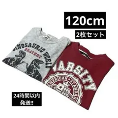 120cm 子供服　男の子　2枚セット 恐竜　ボーダー　あか　赤色