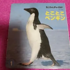 とことこペンギン もぐちゃんチャイルド No.262