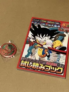 ドラゴンボール ジャンフェス 特典　40周年