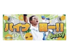 ファイターズ 日本ハム 水谷瞬 パイナ砲 タオル 通販限定 受注販売