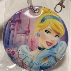 シンデレラ　パスケース