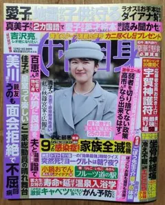 Item thumbnail for item 525f2282-5cb9-48af-86d1-6988e986ed7f