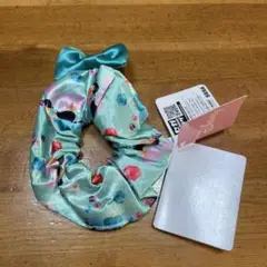 アラジン ジャスミン シュシュ