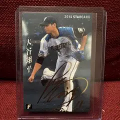 大谷翔平 プロ野球チップス スターカード2013 ルーキーカード - メルカリ