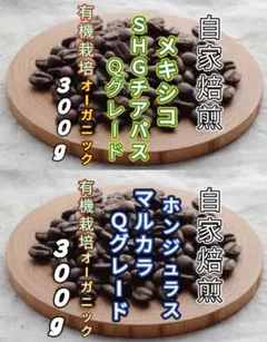 【メキシコ】ＳＨＧチアパス【ホンジュラス】ＳＨＧマルカラ　自家焙煎豆 各３００g