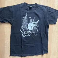 夏到来！？】ステューシー Tシャツ 2013年巳年 Mサイズ - メルカリ