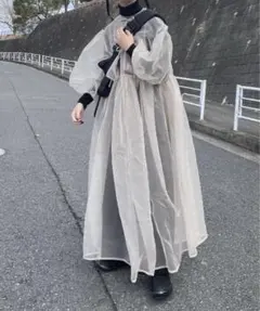 2025年最新】ペルナ オーガンジーの人気アイテム - メルカリ