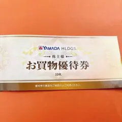 ヤマダ電機 お買物優待券 5000円分