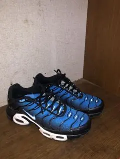NIKE Air Max Plus TN ブルー ブラック 美品