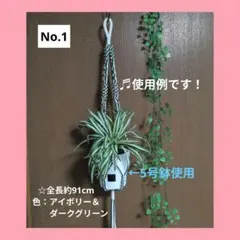 《マクラメ✿プラントハンガー》（全長約91cm／色：アイボリー＆ダークグリーン）のサムネイル