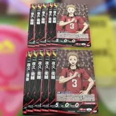 ハイキュー バボカ 夜久衛輔 10枚