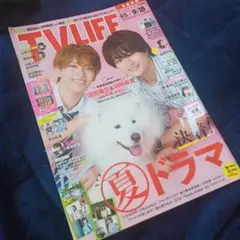 TV LIFE 2026年9月18日号 深田竜生 浮所飛貴