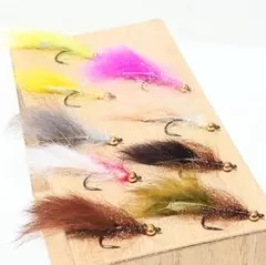 Item thumbnail for item ff778a27-fc09-41e3-afc6-6cb446df766e