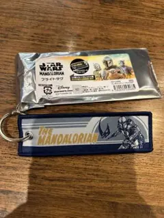 スターウォーズ　マンダロリアン　マンドー　フライトタグ