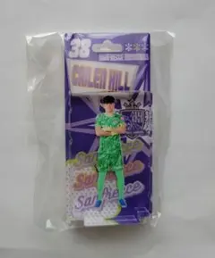 サンフレッチェ広島 25プレーヤーズブリスター風キーチェーン #38ヒル袈依廉